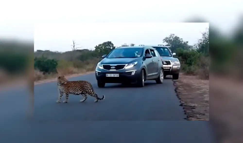 Desliza la imagen compartida en YouTube para verlas todas. Desliza la imagen compartida en YouTube para verlas todas.