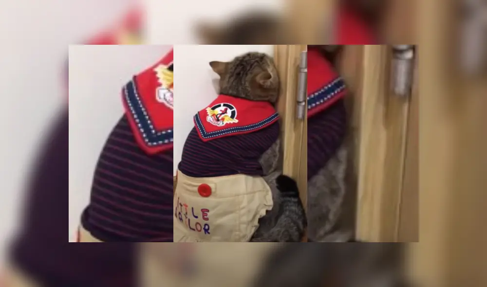 Desliza hacia la izquierda para ver más del video viral Desliza hacia la izquierda para ver más del video viral