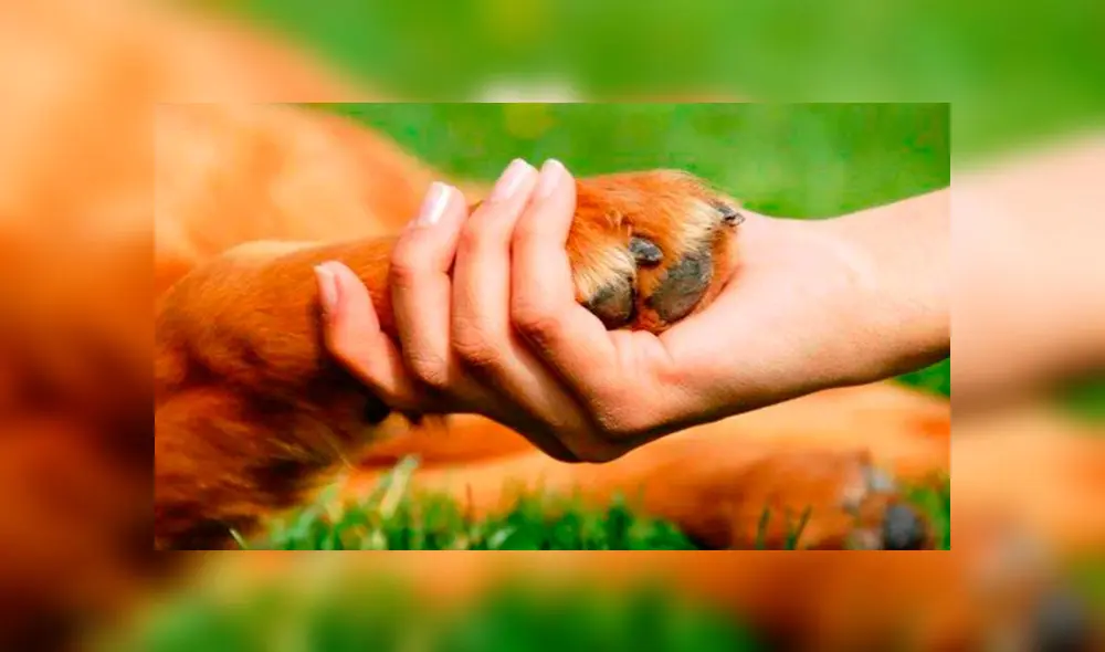 (Foto: La voz del despertar)