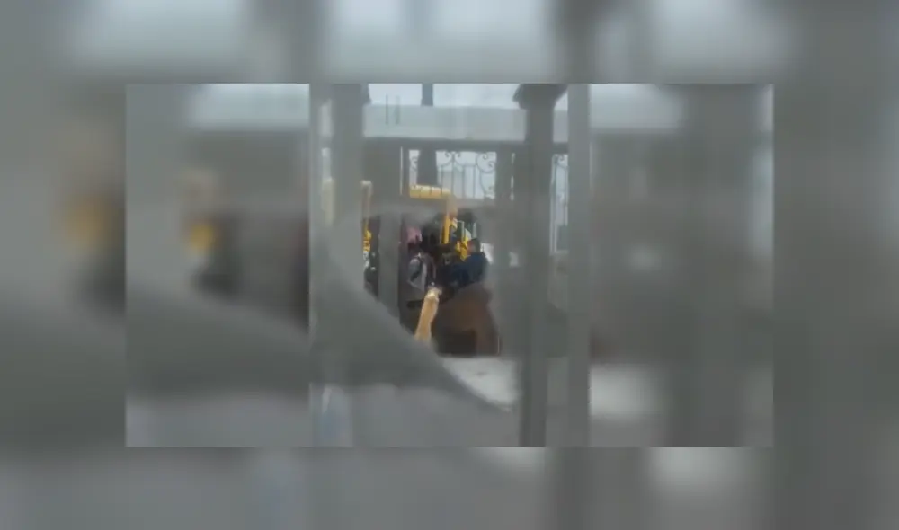 Desliza las imágenes hacia la izquierda para conocer la triste de un perro que espera paciente a los niños. Foto: Captura.