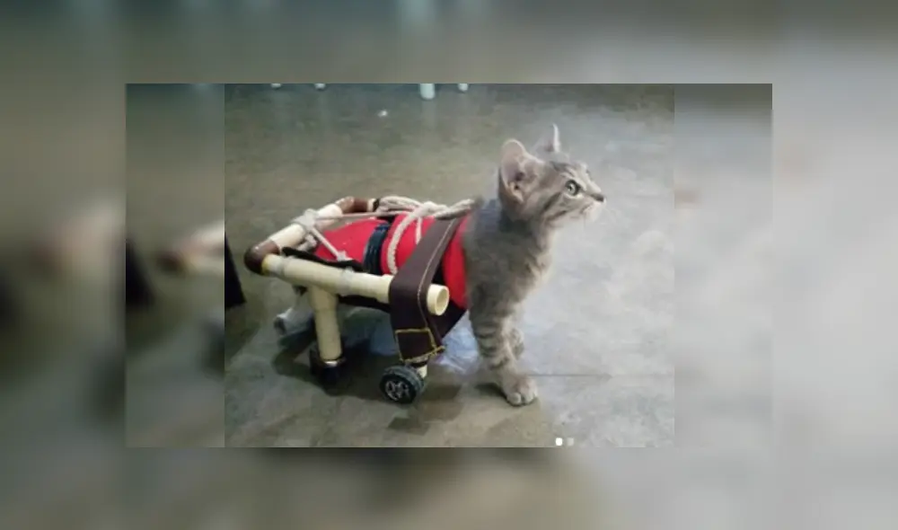 Desliza las imágenes para ver más detalles sobre esta escena que es viral en YouTube.