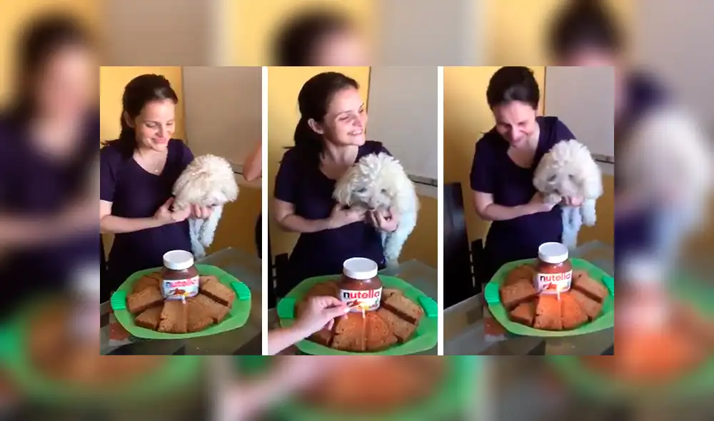 En Facebook, los miembros de una familia decidieron celebrar el cumpleaños de su mascota con una curiosa fiesta. En Facebook, los miembros de una familia decidieron celebrar el cumpleaños de su mascota con una curiosa fiesta.