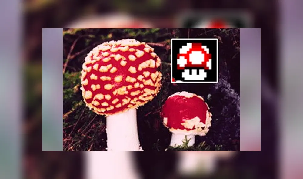 Nintendo ha negado la relación en todo momento.