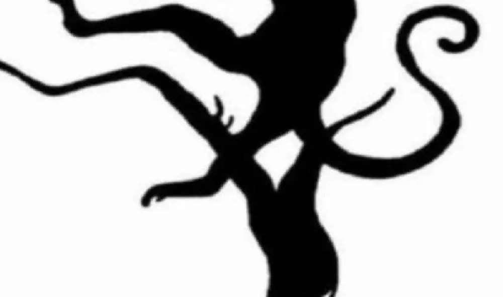 El primer animal que encuentres definirá tu personalidad. Foto: Facebook