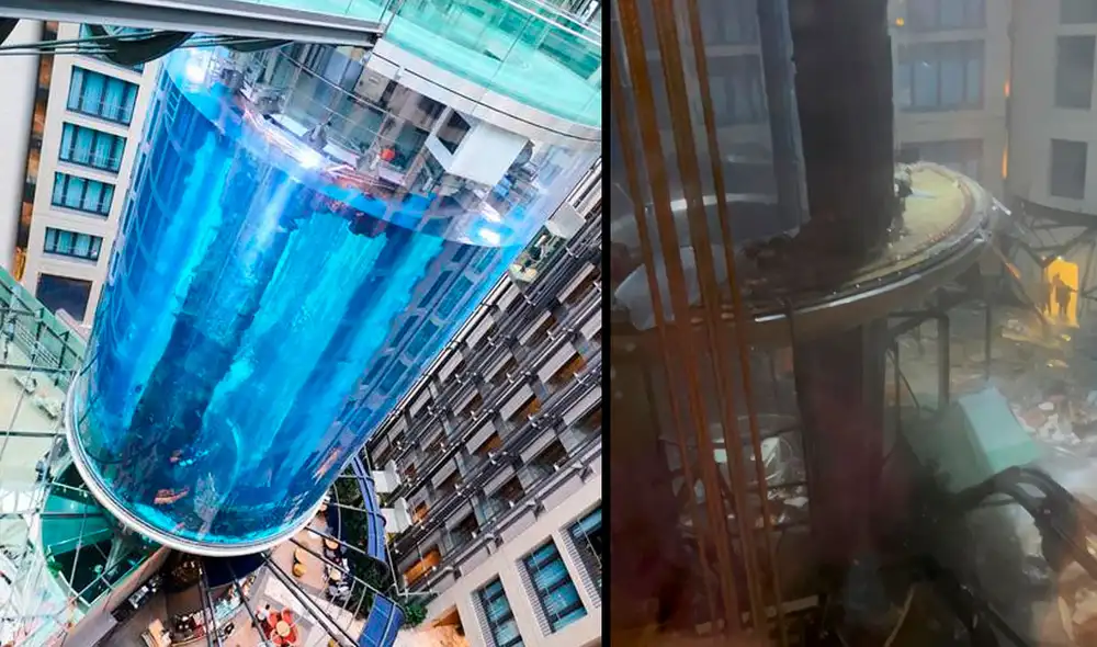 La explosión ha dejado por la calle 1.500 peces que contenía el imponente acuario de Berlín. Foto: picture alliance