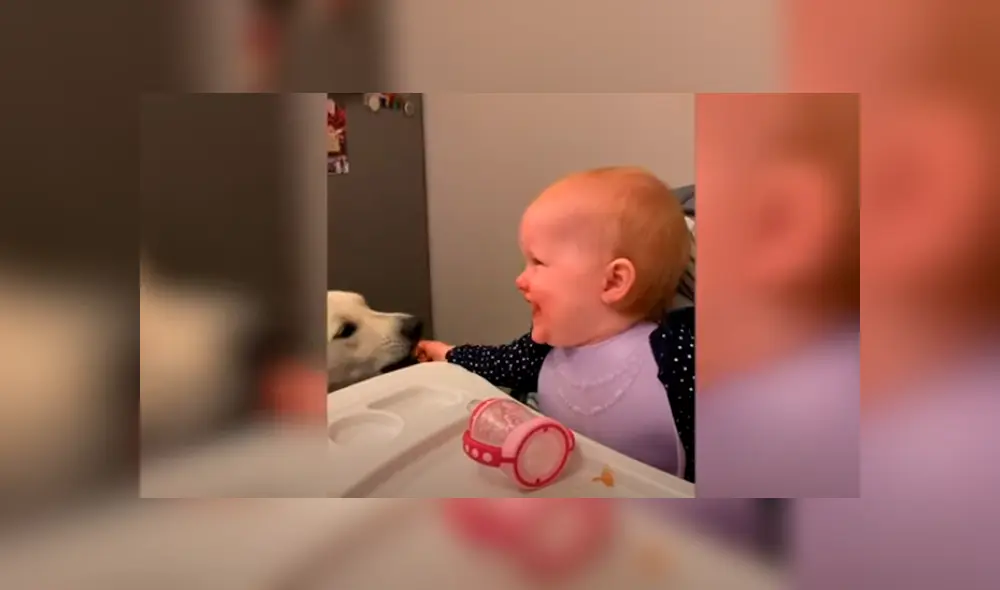 Desliza las imágenes para apreciar la emotiva escena que protagonizaron un bebé junto a su perro.