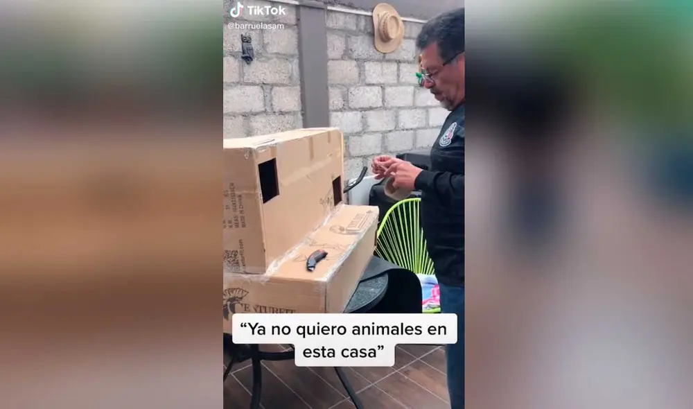 Desliza las imágenes para ver la curiosa escena que protagonizó este padre de familia con su nueva mascota.  Foto: Captura de TikTok/ barruelasam