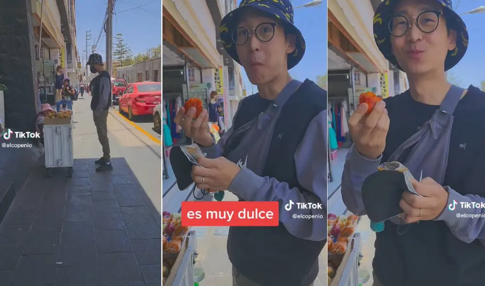 El video ha superado las 600.000 reproducciones en TikTok. Foto: composición LR/captura de TikTok/@elcopenio
