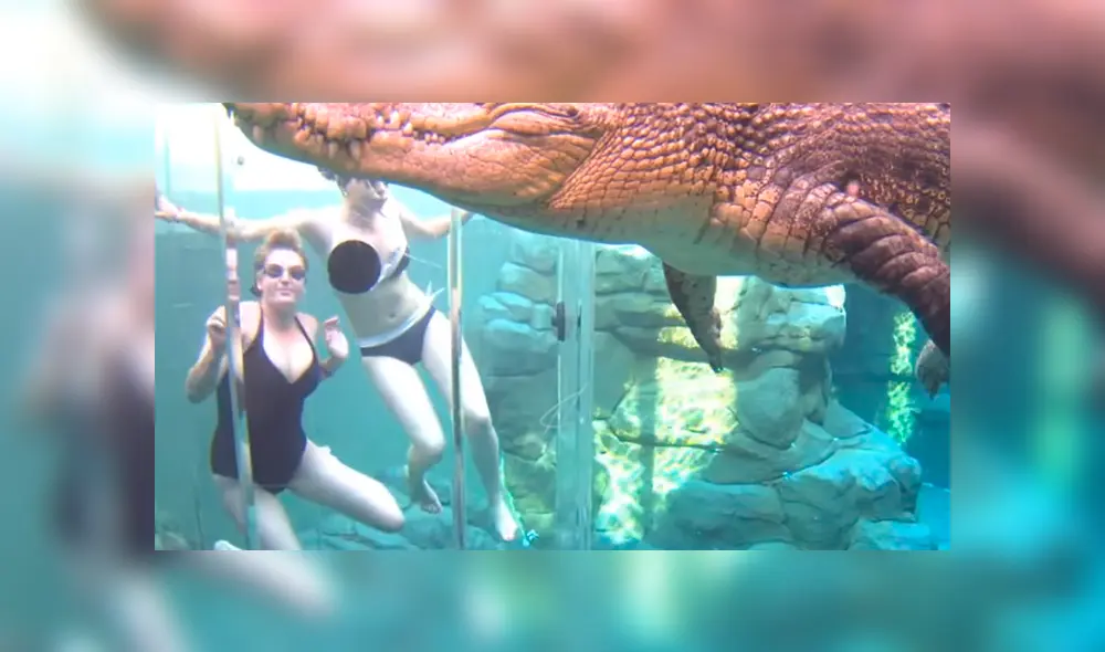 YouTube viral: chicas se sumergen en santuario de enorme cocodrilo y quedan horrorizadas 