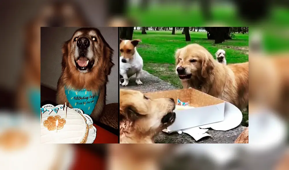 Desliza para ver detalles de este video viral publicado en Facebook. Foto: Captura.