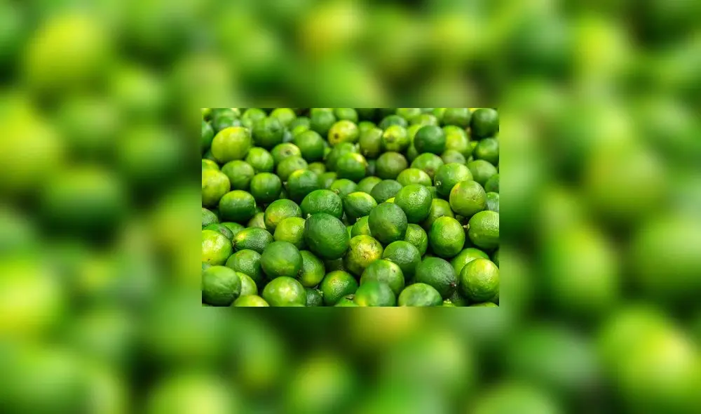 Palta, piña y limón de Colombia llegarán a Perú desde este lunes