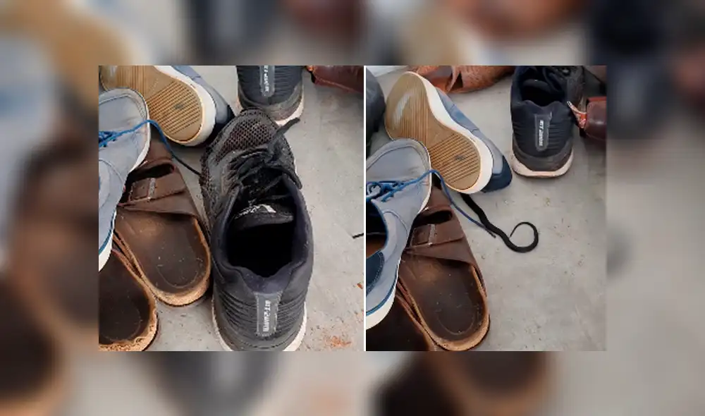 Desliza hacia la izquierda para ver a la serpiente que ha causado gran conmoción en Facebook.