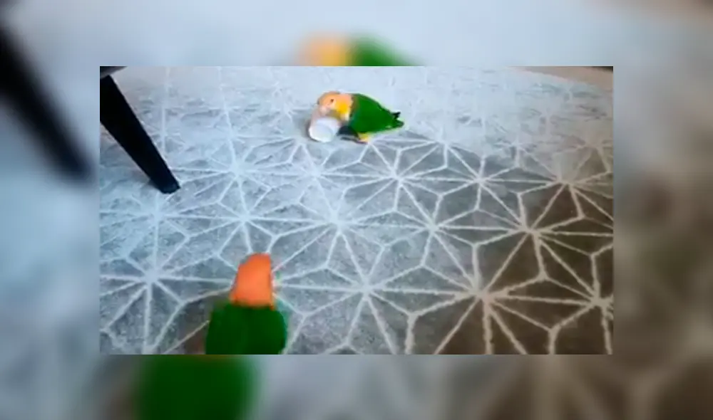 En Facebook, un pequeño logro no soportó que su hermano juegue con sus cosas y lo enfrentó. En Facebook, un pequeño logro no soportó que su hermano juegue con sus cosas y lo enfrentó.