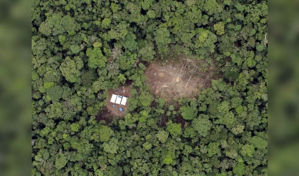 Programa de Monitoreo de Biodiversidad impulsado por Camisea. (Foto:Difusión) Programa de Monitoreo de Biodiversidad impulsado por Camisea. (Foto:Difusión)