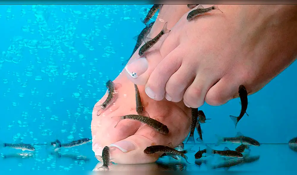 Mujer perdió los dedos del pie por infección tras pedicura de peces [VIDEO] 