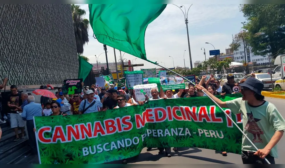Marihuana Medicinal: Realizan marcha este sábado para que se legalice su uso