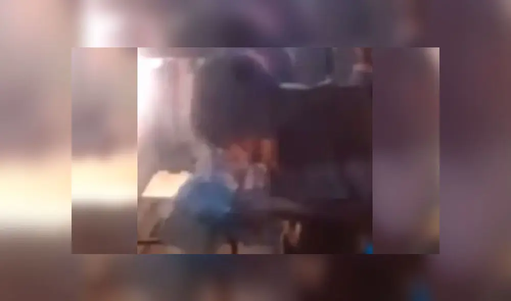 Prisionero que abusó de una mujer es forzado a comer una rata en la cárcel [VIDEO]