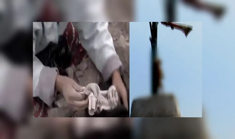 Este terrible suceso fue tildado como maltrato animal.