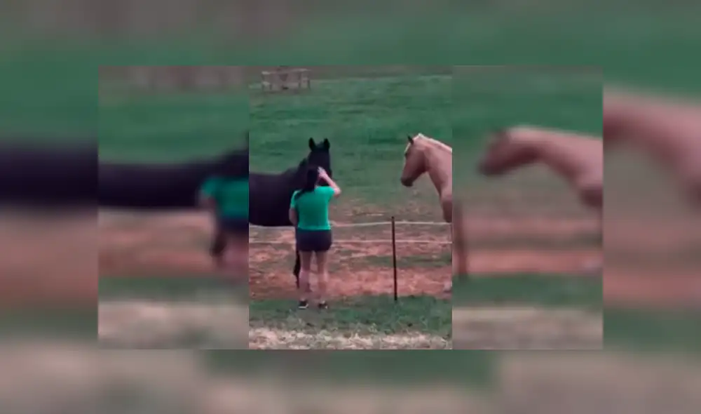 Facebook viral: mujer atraviesa el cerco eléctrico para acariciar caballos y recibe una gran descarga eléctrica