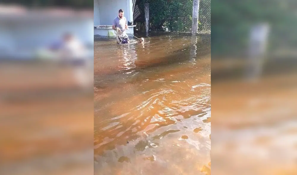 Desliza las imágenes para ver al tierno Máximo esperando volver a ver sus dueños que lo abandonaron. Foto: Facebook