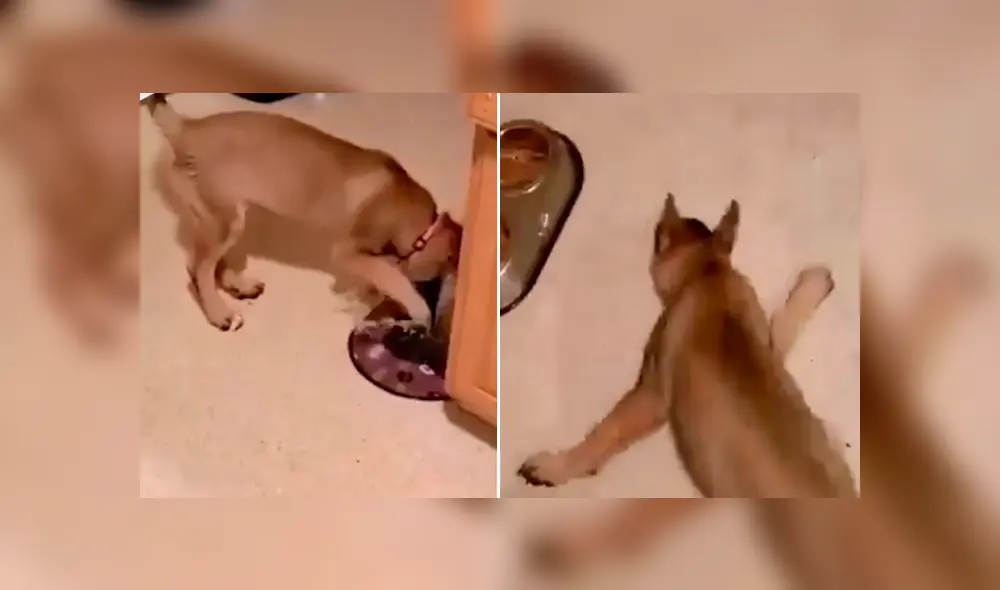 Desliza para ver los momentos más divertidos del video que se hizo viral en Facebook.