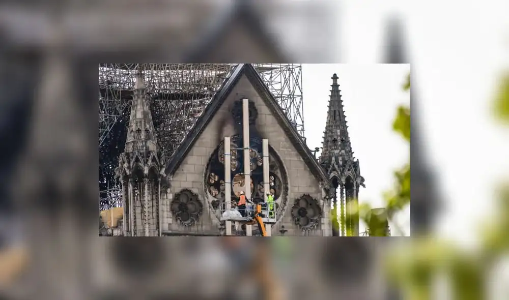 ¿Por qué se salvaron las abejas de Notre Dame tras el incendio? 