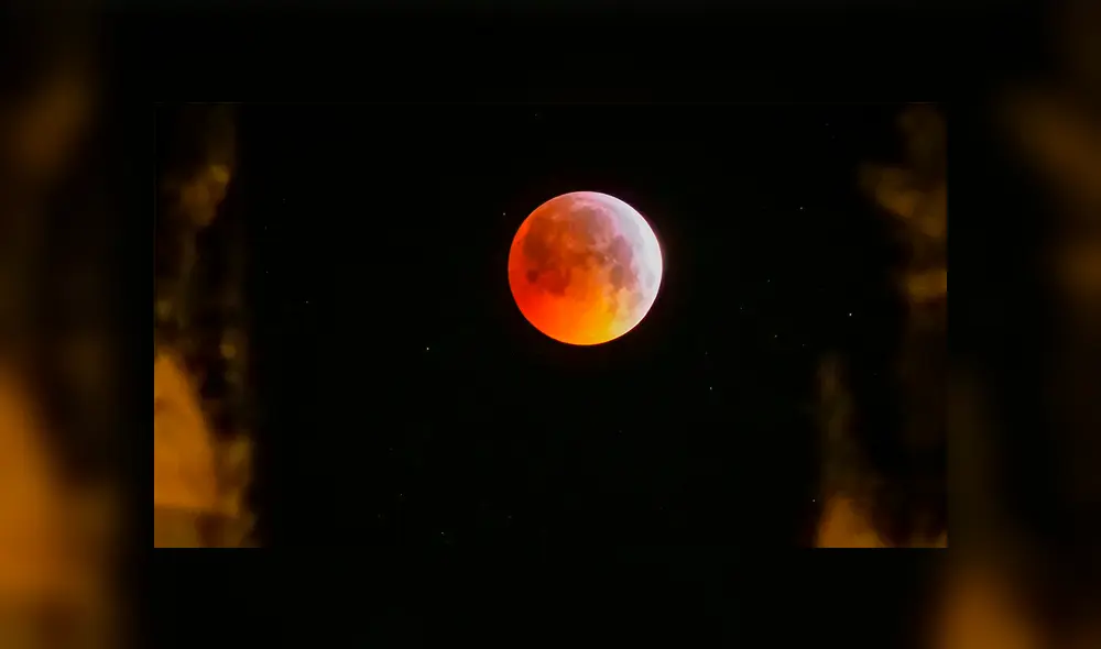 Luna de las flores recibe su nombre por la llegada de la primavera y el nacimiento de las flores en el hemisferio norte. Foto: Twitter