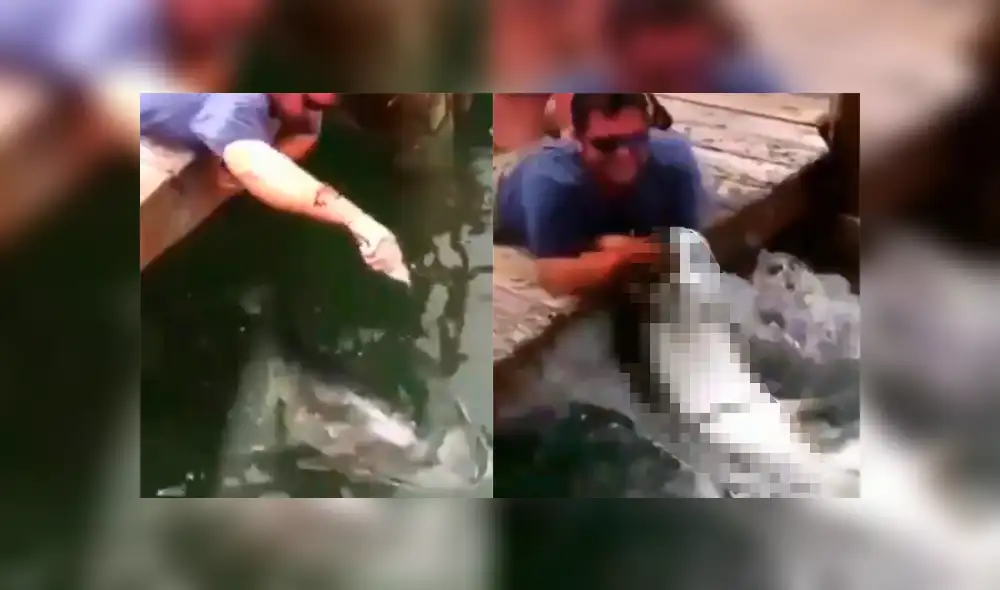 Un hombre fue víctima del ataque de una feroz criatura marina.