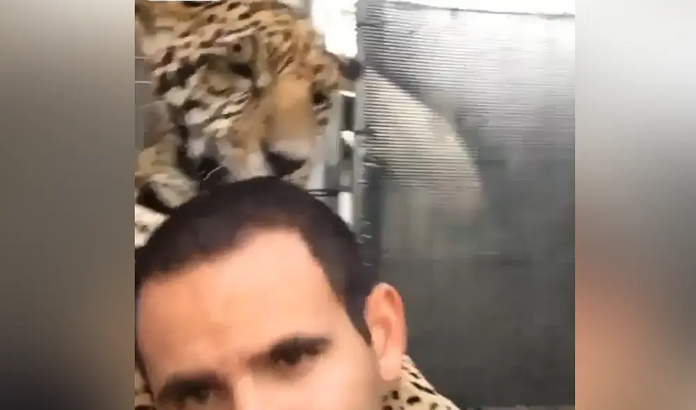 Desliza hacia la izquierda para ver las imágenes de video viral. Foto: Captura de TikTok. Desliza hacia la izquierda para ver las imágenes de video viral. Foto: Captura de TikTok.