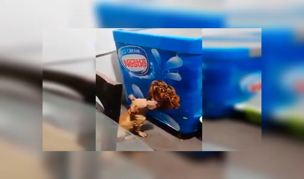 En Facebook, una chica quedó sorprendido al encontrar a su perro lamiendo una imagen de helado que estaba en su casa. En Facebook, una chica quedó sorprendido al encontrar a su perro lamiendo una imagen de helado que estaba en su casa.