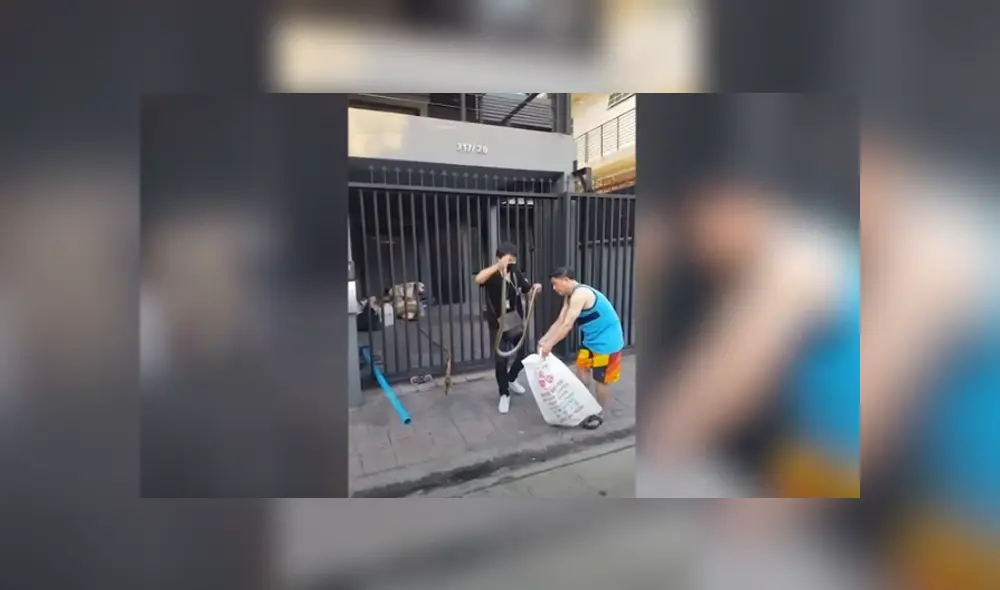 Desliza hacia la izquierda para ver las imágenes del viral de Facebook. Foto: Captura. Desliza hacia la izquierda para ver las imágenes del viral de Facebook. Foto: Captura.