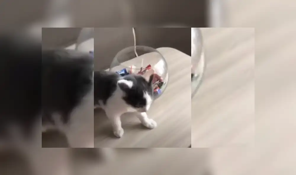 Desliza hacia la izquierda para ver más del video viral Desliza hacia la izquierda para ver más del video viral