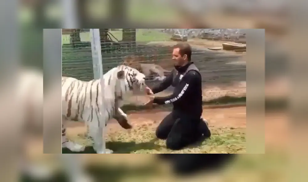 Desliza hacia la izquierda para ver el reencuentro que se hizo viral en YouTube. Desliza hacia la izquierda para ver el reencuentro que se hizo viral en YouTube.