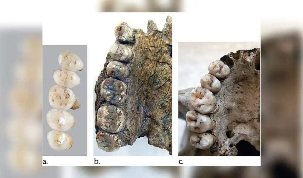 Descubren restos del ‘Homo luzonensis’, nueva especie humana que obliga a replantear la evolución