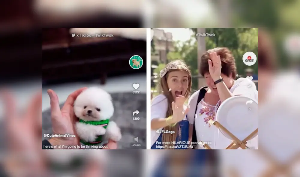 De momento, TwikTwok solo está disponible para web. Foto: TwikTwok. De momento, TwikTwok solo está disponible para web. Foto: TwikTwok.