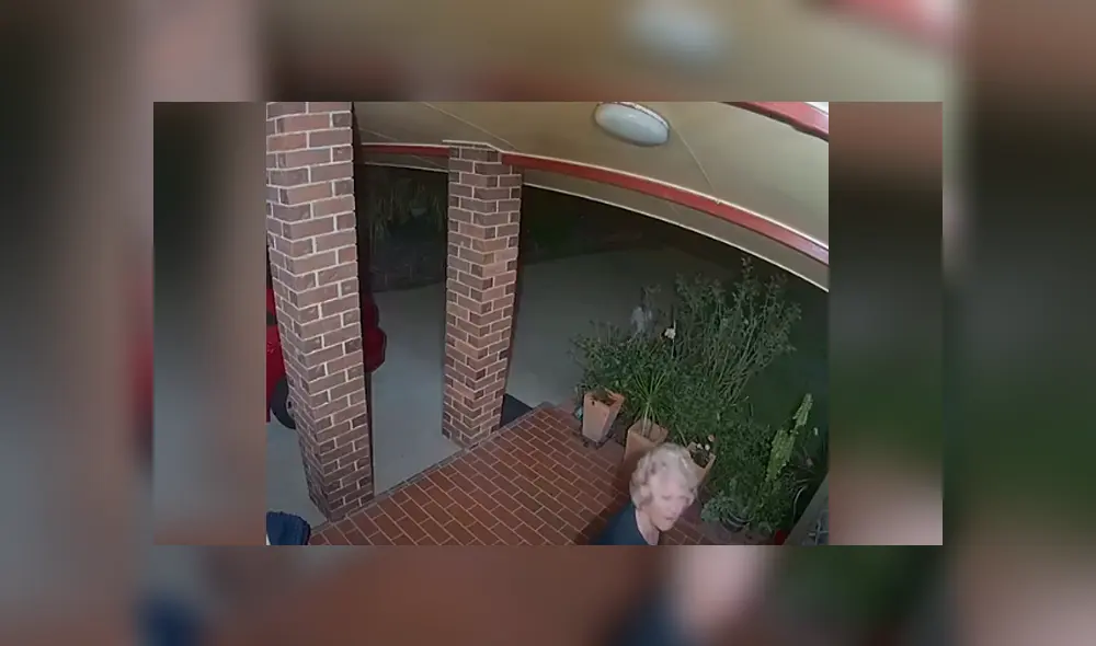 Desliza las imágenes para observar la acción de un perro tras percatarse que unos malhechores intentaron invadir su casa. Desliza las imágenes para observar la acción de un perro tras percatarse que unos malhechores intentaron invadir su casa.