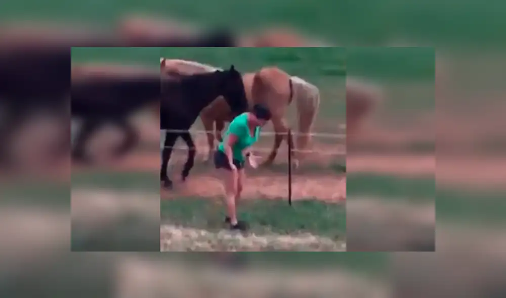 Facebook viral: mujer atraviesa el cerco eléctrico para acariciar caballos y recibe una gran descarga eléctrica