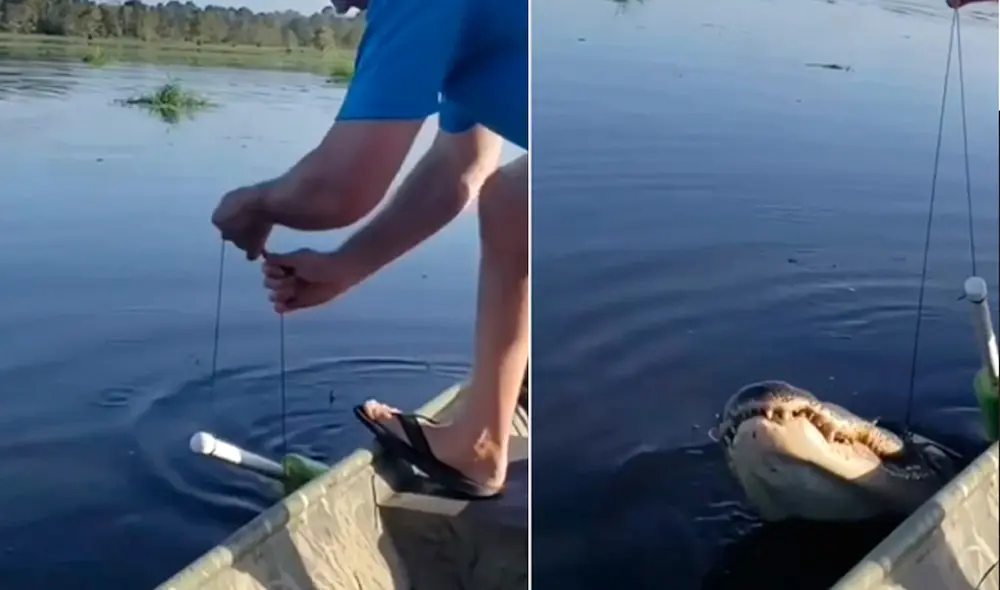 Este video ha superado el medio millón de 'me gusta'. Foto: composición LR / Instagram / @
fishing___fans___ Este video ha superado el medio millón de 'me gusta'. Foto: composición LR / Instagram / @
fishing___fans___