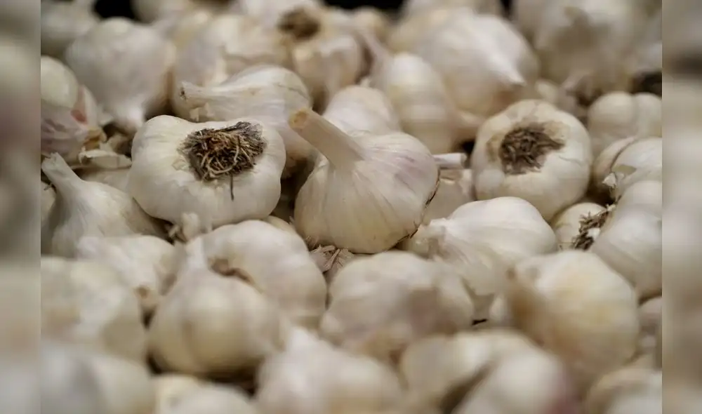 GILROY, CALIFORNIA - JUNE 26: Freshly picked heads of garlic sit in a box at Christopher Ranch on June 26, 2019 in Gilroy, California. California garlic growers are benefiting from tariffs on Chinese imports because the price of Chinese garlic is now the same as U.S. grown garlic. Tariffs on Chinese garlic surged to 25 percent from 10 percent on May 9 of this year. In the last three months of 2018, U.S. garlic grower Christopher Ranch saw its profits rise 15 percent due to the tariffs.   Justin Sullivan/Getty Images/AFP