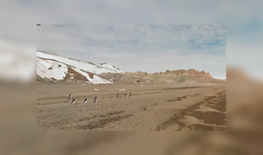 Google Maps viral: usuario capta una emocionante escena mientras 'recorría' la Antártida [FOTOS]