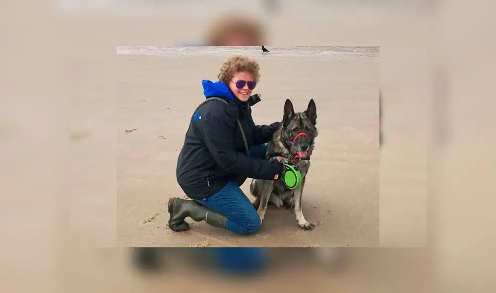 Perro Navidad Perro Navidad