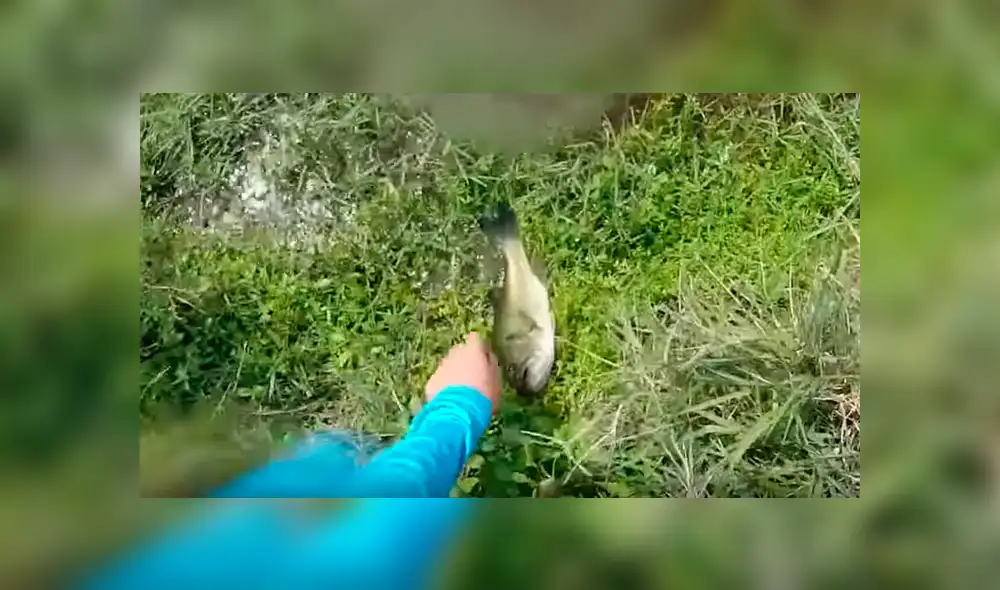 Video de Youtube muestra el aterrador momento que vivió un pescador cuando fue sorprendido por un enorme cocodrilo que salió intempestivamente de un lago para atacarlo Video de Youtube muestra el aterrador momento que vivió un pescador cuando fue sorprendido por un enorme cocodrilo que salió intempestivamente de un lago para atacarlo