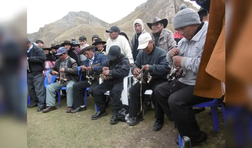 Huancavelica: Realizan feria vicuñera por aniversario de la comunidad de Tansiri