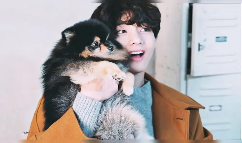 Desliza para ver más fotos de Taehyung de BTS.