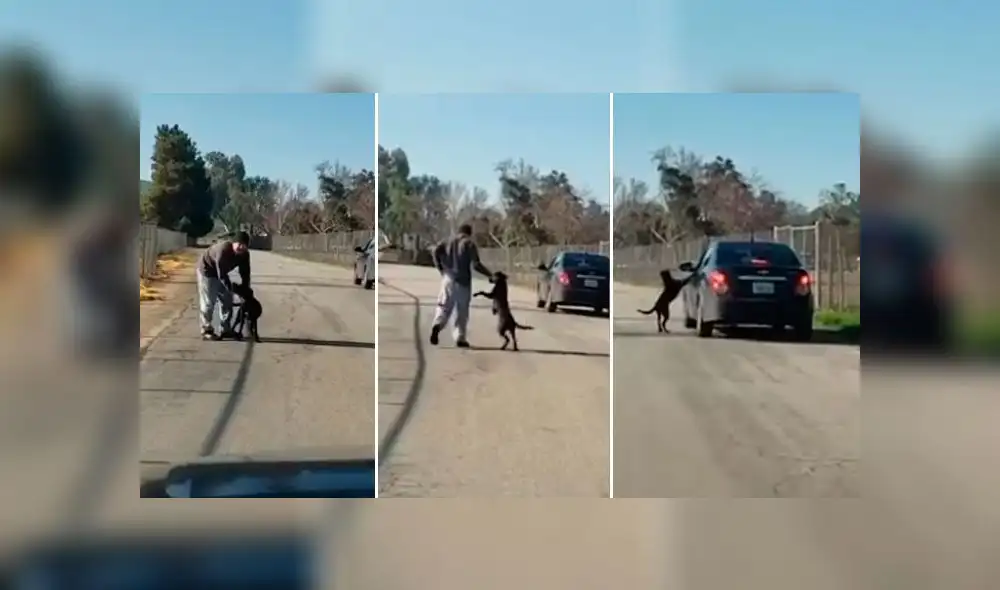Hombre empuja y golpea a su perro para luego abandonarlo en medio de la carretera