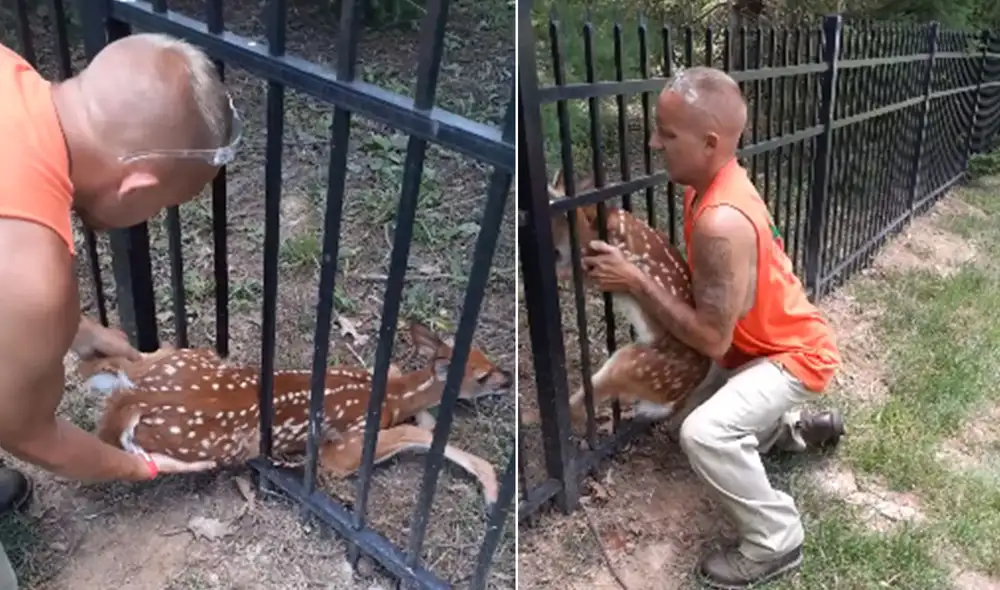 Desliza hacia la izquierda para ver más imágenes sobre este hecho que es viral en redes sociales. Foto: captura de YouTube