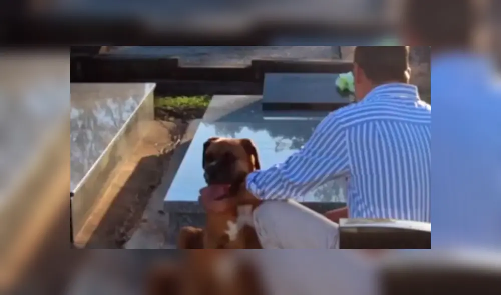 Bombero recata una caja del incendio y descubre que en el interior estaba una adorable criatura se es viral en Facebook. Bombero recata una caja del incendio y descubre que en el interior estaba una adorable criatura se es viral en Facebook.