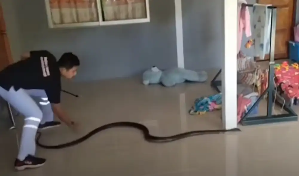 Desliza hacia la izquierda para ver las imágenes del viral de YouTube. Foto: ViralPress.