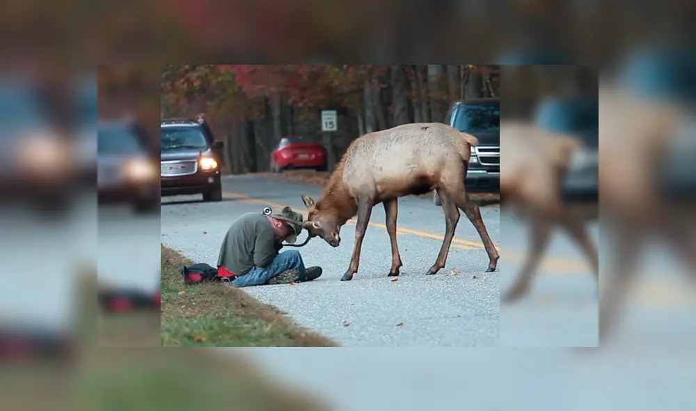 Vía Facebook. La actitud del hombre tras recibir el furioso ataque del animal dejó a más de uno con la boca abierta Vía Facebook. La actitud del hombre tras recibir el furioso ataque del animal dejó a más de uno con la boca abierta