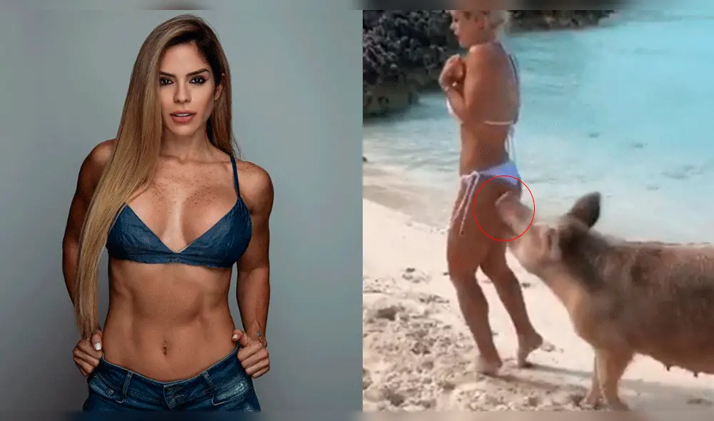 Michelle Lewin fue atacada por un puerco en Las Bahamas [VIDEO]